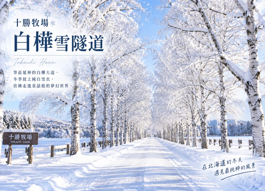 行程特色圖片