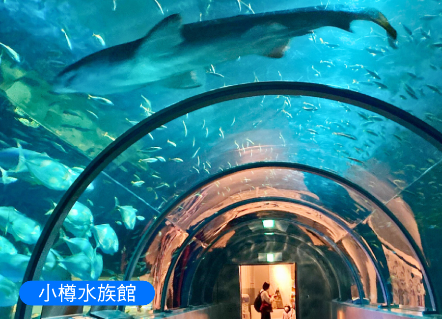 行程特色圖片