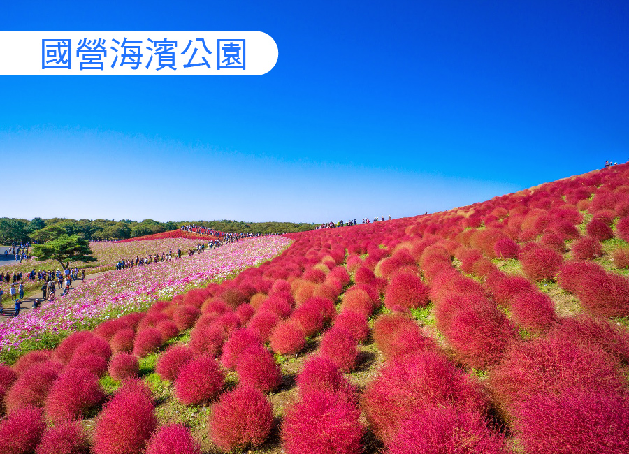 行程特色圖片