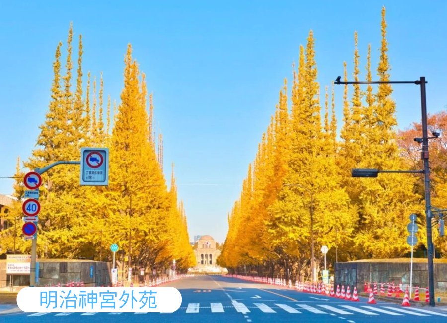 行程特色圖片
