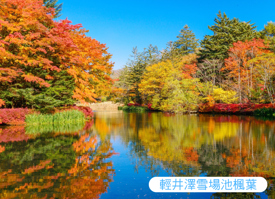行程特色圖片