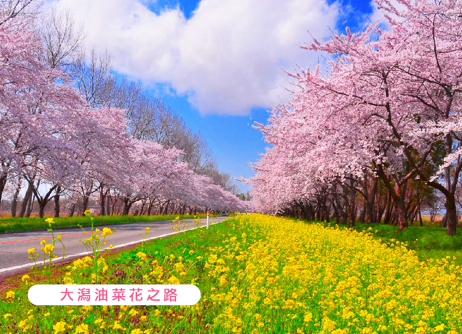行程特色圖片