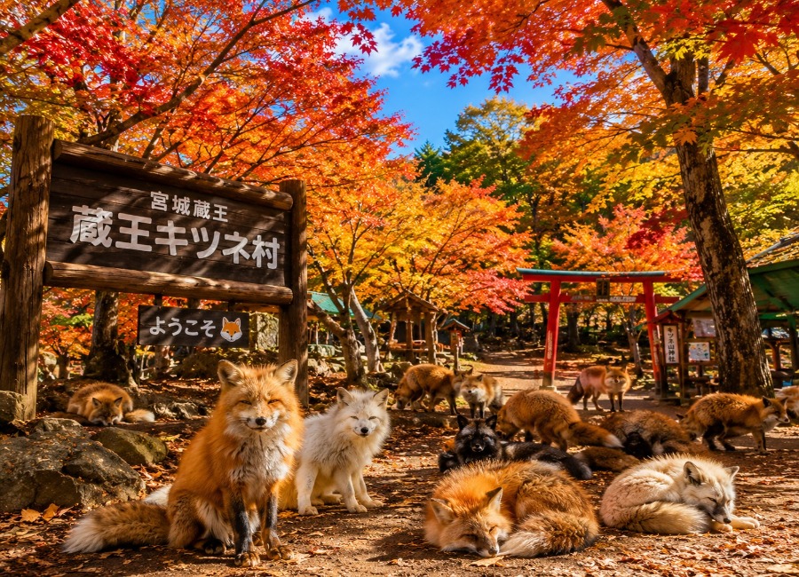 行程特色圖片