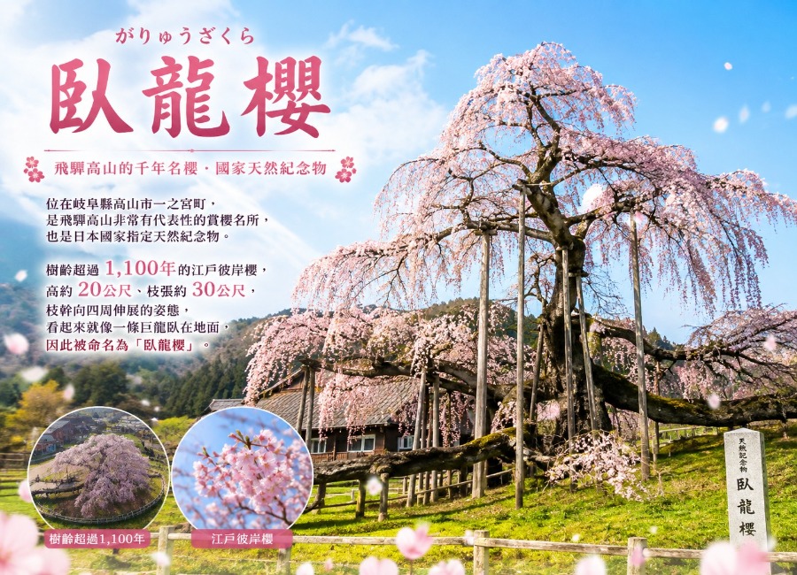 行程特色圖片