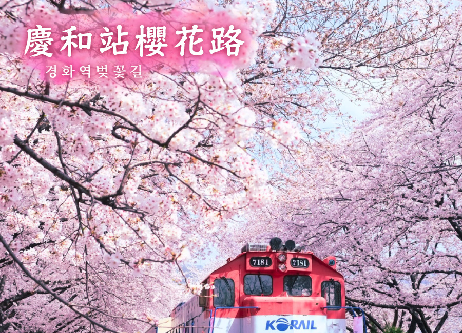 行程特色圖片