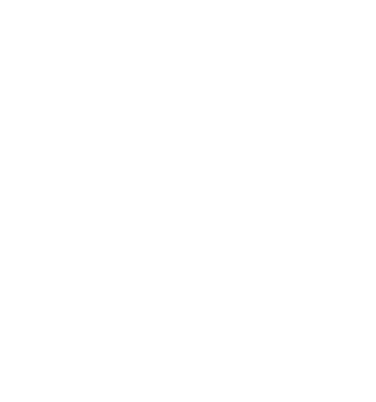 日本豐田海獅商務車 包車