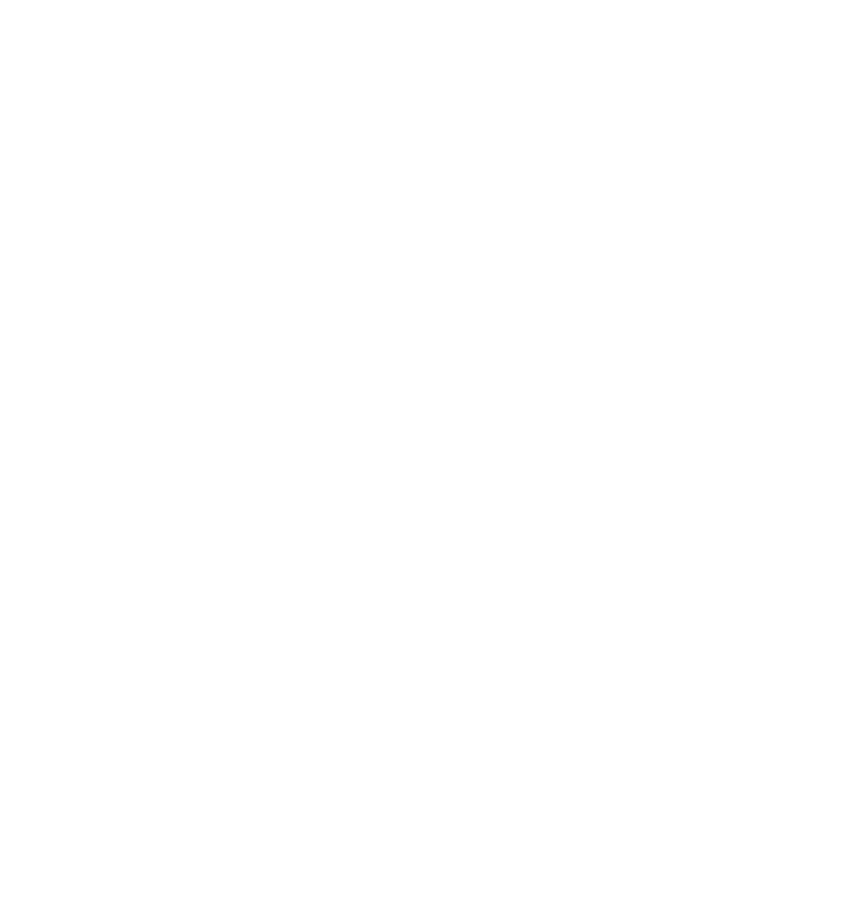 日本豐田海獅商務車 包車介紹